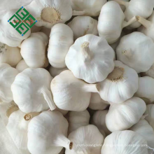 2017 fresh pure white garlic in china